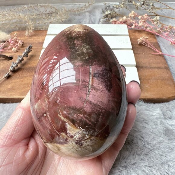 Gorgeous Large Petrified Wood Egg - Picture 1 of 9